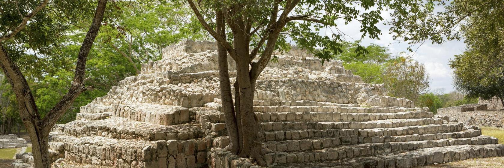 Zona arqueológica El Rey